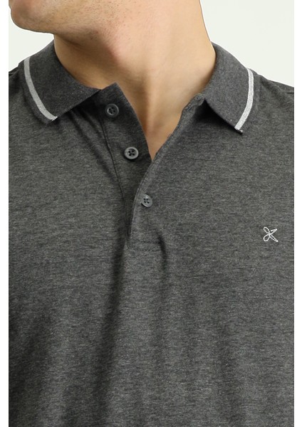 Polo Yaka Slim Fit Dar Kesim Nakışlı Süprem Pamuklu Tişört