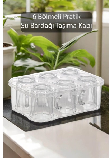 6 Bölmeli Çok Renkli Su Bardağı Saklama Kabı, Plastik, Pratik ve Şık Tasarım