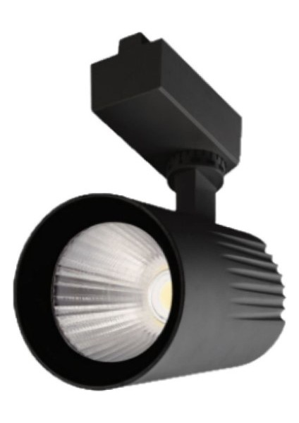40W Siyah Kasa Pro Ray Spot Armatürü 6500K Beyaz