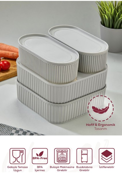 4'lü Pratik Elastik Bantlı Saklama Kabı Seti, Gri, Dayanıklı ve İstiflenebilir modelleri