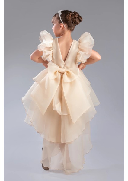 Şık Tasarım Prenses Taçlı Kuyruklu Kız Çocuk Abiye Elbise fırsatları