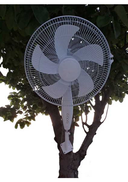 Duvar Montajlı Hava Vantilatörü 3 Kademehhız Ayarlı Pervane Sağ Sol Dönme 55W Beyaz 5 Kanat