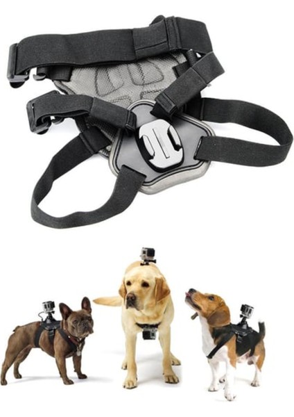 GP197 Tüm Aksiyon Kameralara Uyumlu Köpek Montaj Kemeri Aksiyon Kamera Sabitleyici modelleri