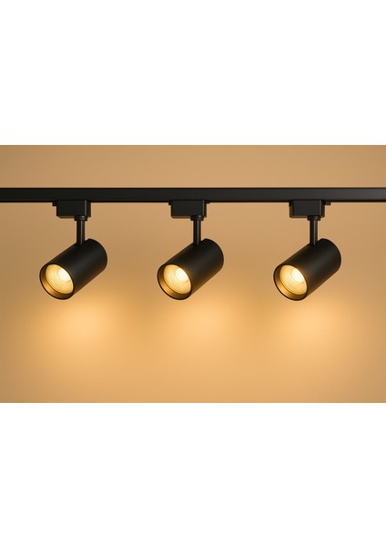 Modern 3'lü Siyah Alaminyum Kasa Ray Spot Aydınlatma Seti 30W 4000K Doğal Beyaz Işık 3200 Lümen A+ Enerji Sınıfı fiyatları