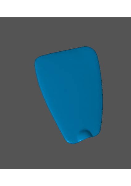 Renault Symbol Thalia Iç Sigorta Kutusu Kapağı 2009-2012 modelleri