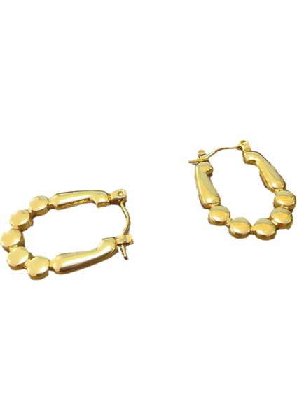 Küpe Mizaç Küpe Niş Tasarım Gümüş Iğne Küpe (Yurt Dışından)