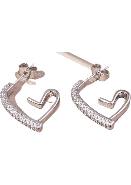 Küpe Mizaç Küpe Niş Tasarım Gümüş Iğne Küpe (Yurt Dışından)