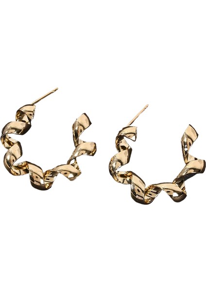 Küpe Mizaç Küpe Niş Tasarım Gümüş Iğne Küpe (Yurt Dışından)