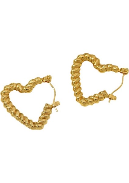 Mücevher Niche Kadın Küpeleri Tokalar Küpeler Aksesuarlar (Yurt Dışından)