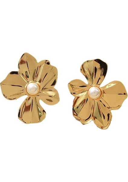 Mücevher Niche Kadın Küpeleri Tokalar Küpeler Aksesuarlar (Yurt Dışından)