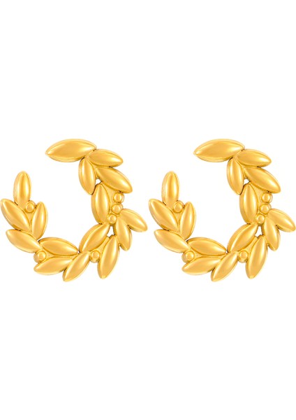 Avrupa ve Amerika Birleşik Devletleri Modası Vahşi Kişilik Paslanmaz Çelik Küpeler Kadın Geometrik Küpeler Saplama Küpeler (Yurt Dışından)