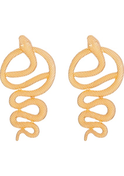 Takılar Küpeler Kadın Küpeler (Yurt Dışından)