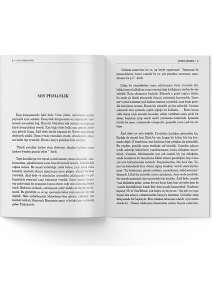 Şükrü Şimşek - Son Pişmanlık