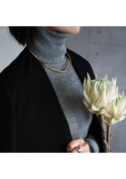 Pratik Choker Çelik Kolye,boyun Çelik Kolye