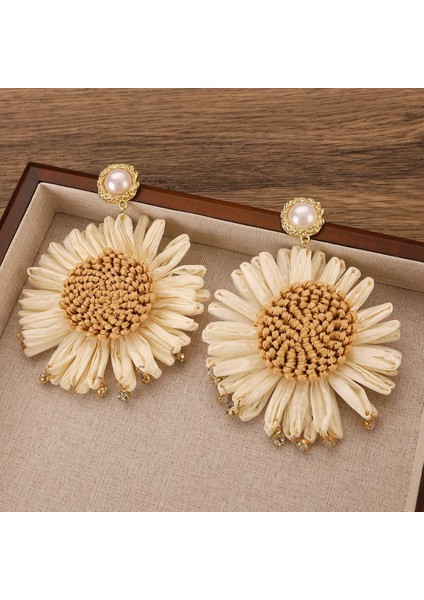 Avrupa ve Amerika Birleşik Devletleri Kişilik Küpeleri Kadın Takıları (Yurt Dışından)