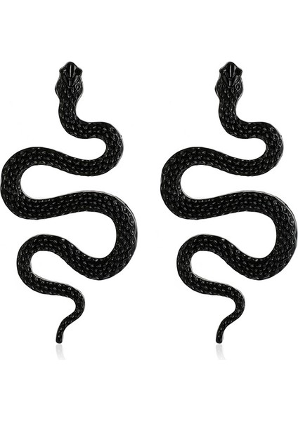 Kadın Düzensiz Şekilli Küpeler (Yurt Dışından)