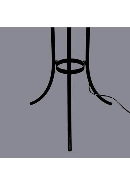 Zarela Siyah Eskitme Taş Detaylı Lambader modelleri