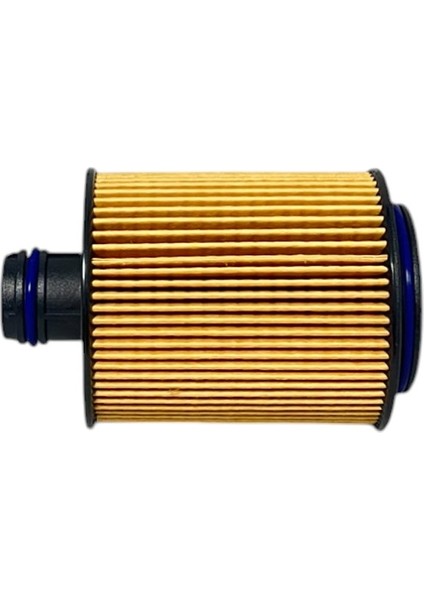 Lancia Musa 1.3 D 70 Kw, 1.6 D 85-88 Kw 2008-2012 Çüklü Geniş Delikli Yağ Filtresi fırsatları