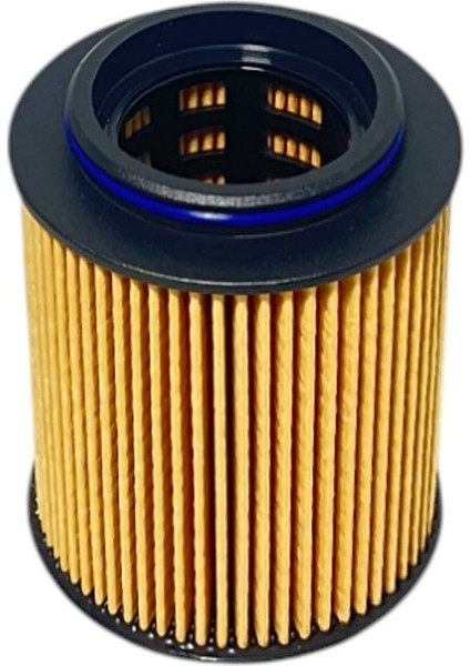 Fiat Punto Evo 1.3 D 55-62-70 Kw, 1.6 D 88 Kw 2009-2012 Çüklü Geniş Delikli Yağ Filtresi modelleri