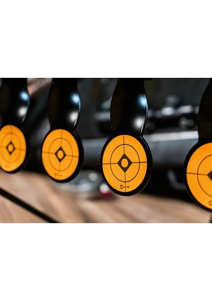Airgun Resetting Target Havalı Için Otomatik Resetli Hedef 820585 modelleri