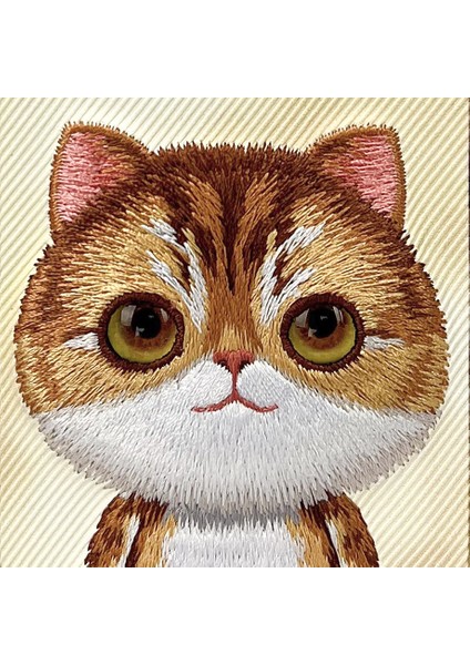 iPhone 16 Pro Uyumlu 3D Göz Golden Kedi Detaylı Gerçek Nakış İşlemeli Kabartmalı Big Eyes Kılıf fiyatları