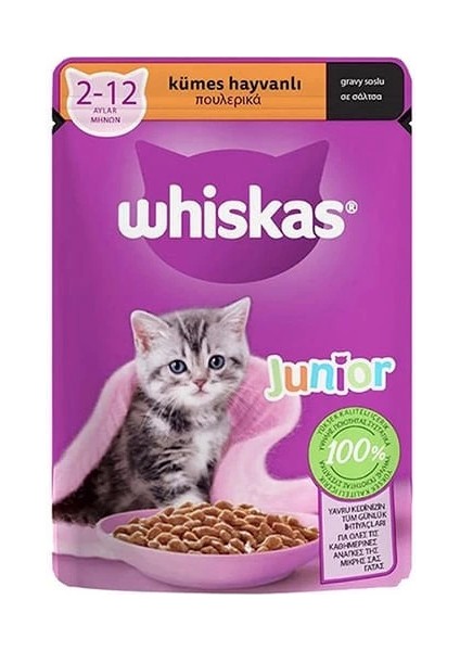 Jöleli Kümes Hayvanlı Yavru Konserve Kedi Maması 85 gr