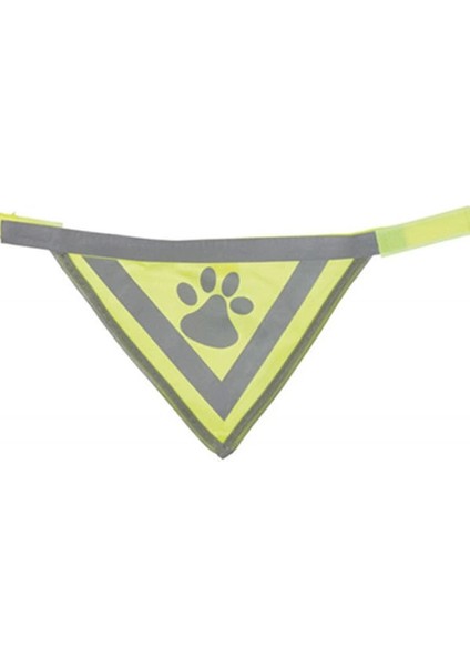 Köpek Bandanalı Tasma Small 22-28 cm fiyatları