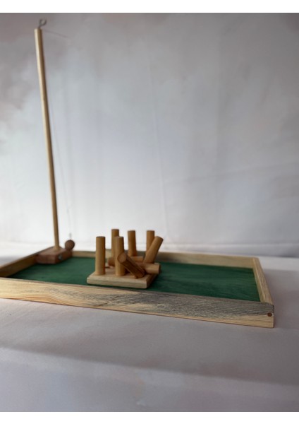Mini Pingo