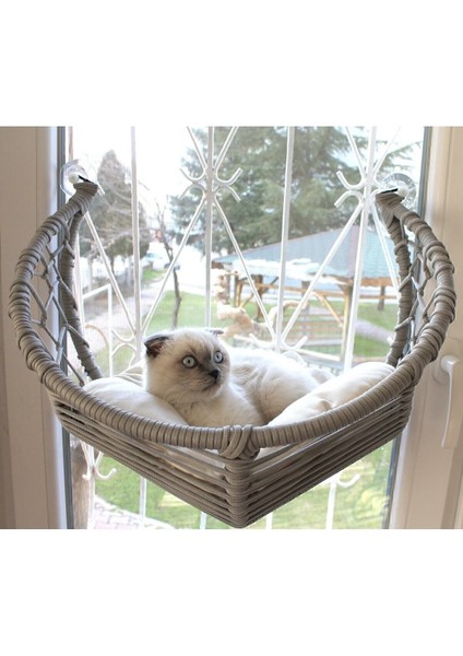 Kedi Cam Yatağı & Cam Askılı Vantuzlu Kedi Yatağı Gri