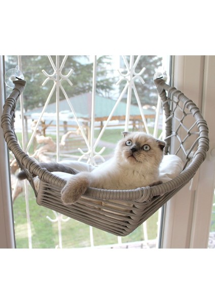 Kedi Cam Yatağı & Cam Askılı Vantuzlu Kedi Yatağı Gri modelleri