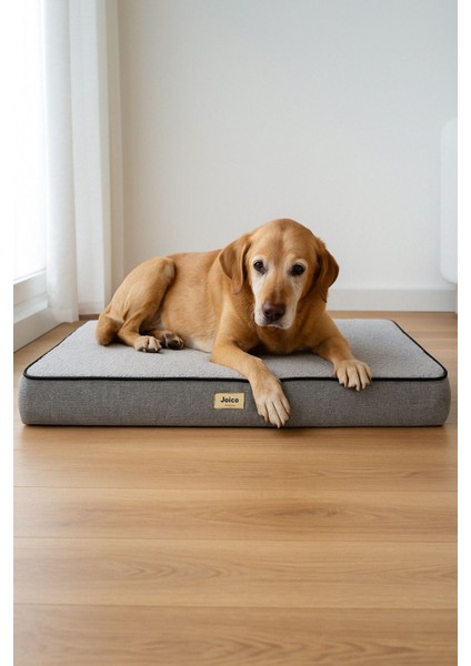 Arthur, Visco Süngerli, Çıkarılabilir Kılıflı, Su Geçirmez, Yüksek Kaliteli Kedi ve Köpek Yatağı