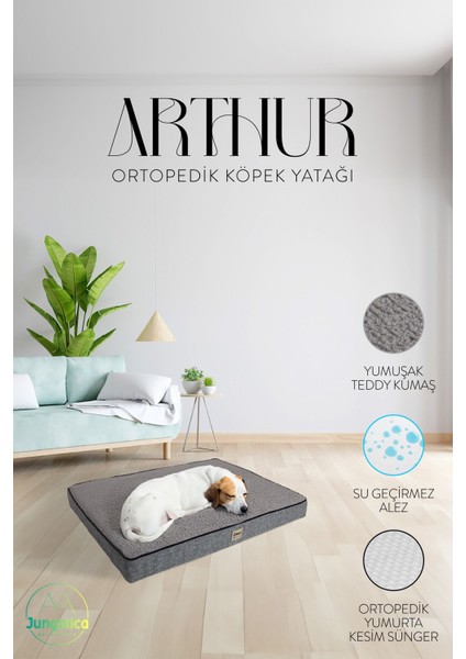 Arthur, Visco Süngerli, Çıkarılabilir Kılıflı, Su Geçirmez, Yüksek Kaliteli Kedi ve Köpek Yatağı fiyatları