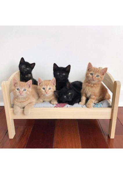 Ahsap Kedi Yatak fiyatları