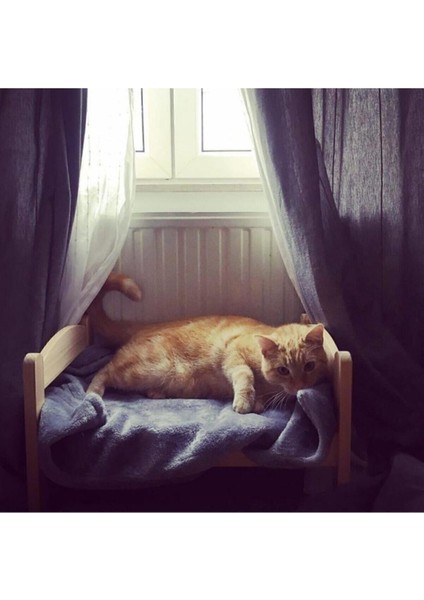Ahsap Kedi Yatak fırsatları