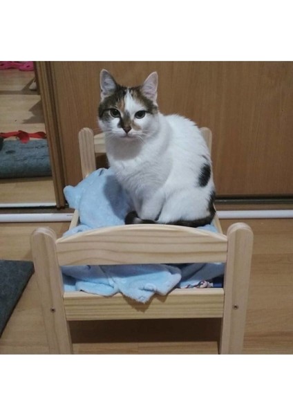 Ahsap Kedi Yatak indirimleri