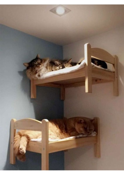 Ahsap Kedi Yatak