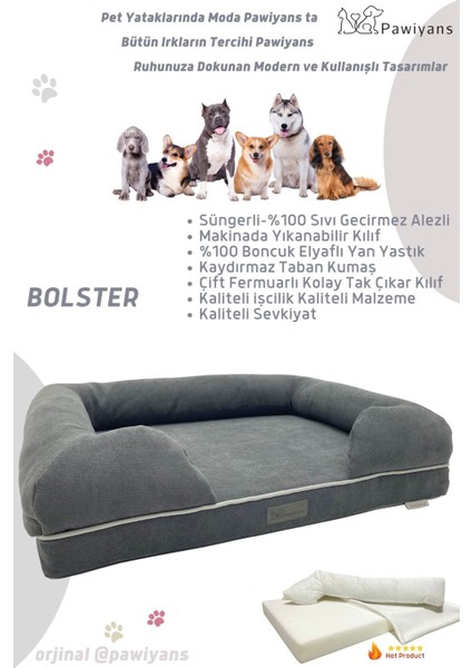 Bolster Üst Kalite Köpek Yatağı Xl 10CM Süngerli Kılıflı Sıvı Geçirmez Alezli 2 Fermuarlı