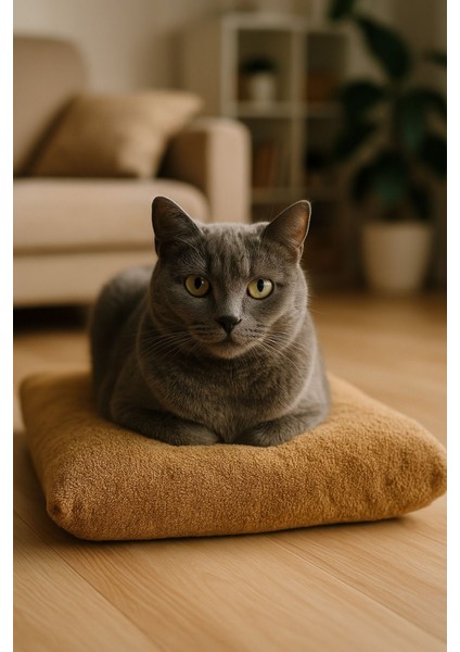 Peluş Kedi Köpek Yer Minderi (35X35)