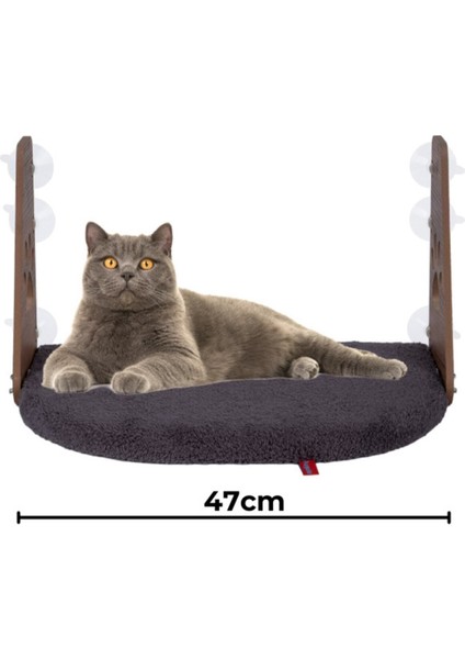 Cam Yatağı Vantuzlu Kedi Cam Yatağı Vantuzlu Yatak Antrasit