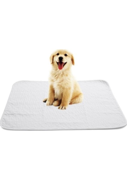 Kapitoneli, Sıvı Geçirmez, Yıkanabilir Kedi ve Köpek Çiş Pedi