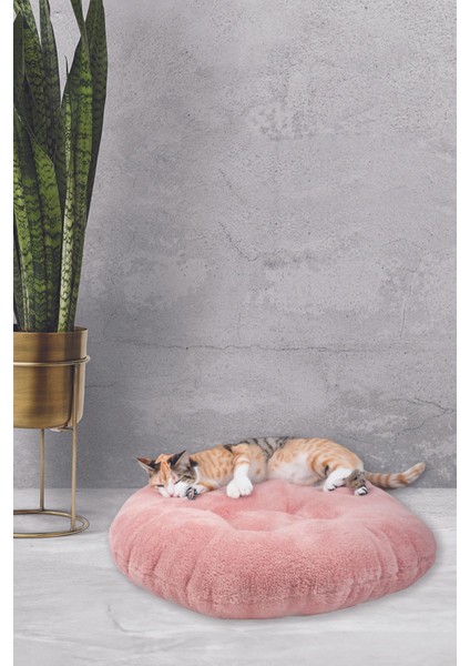 Welsoft & Silikon Dolgulu Köpek Kedi Yatağı Yıkanabilir Yumuşak Peluş Kedi Minderi Uyku Minderi modelleri
