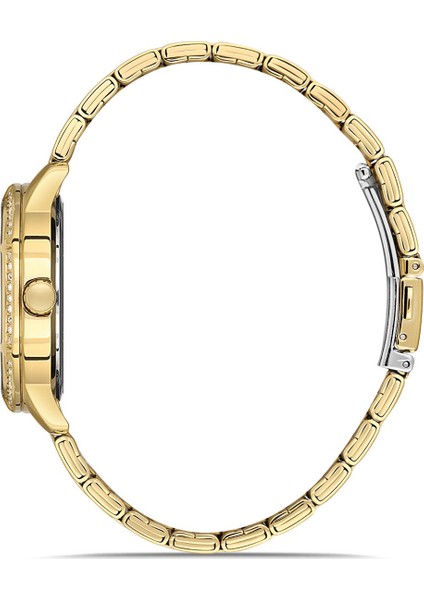 Dıce Kayek Kadın Kol Saati DK.1.AG1372.03 fiyatları