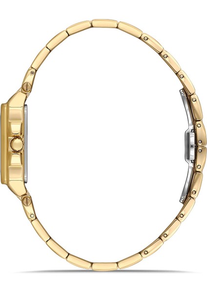 Dıce Kayek Kadın Kol Saati DK.1.AG1332.07 fiyatları