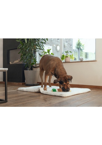 Köpek Oyuncağı, Sesli, Ördek, Peluş, Kahverengi/siyah, 36X25,5X9CM Drstr fiyatları