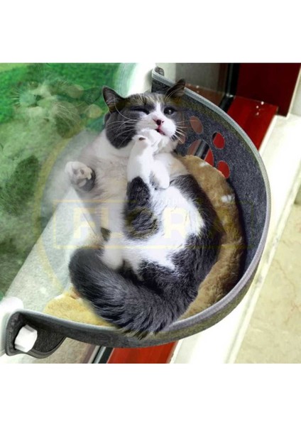 Sağlam Kedi Pencere Yatağı, Keçe, Hamak, 15KG'A Kadar Peluş Yastık Hediye
