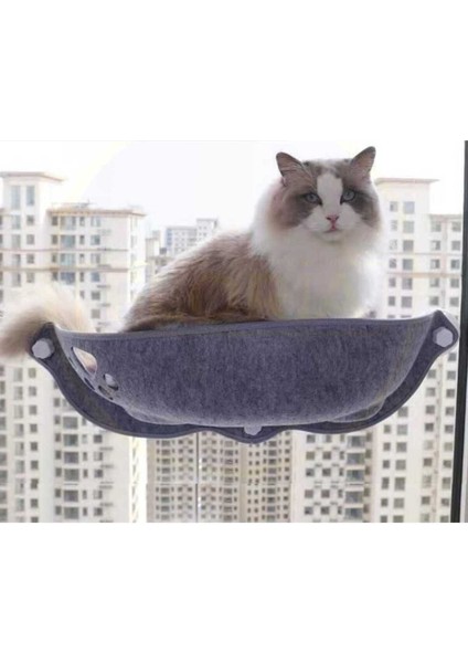 Sağlam Kedi Pencere Yatağı, Keçe, Hamak, 15KG'A Kadar Peluş Yastık Hediye indirimleri