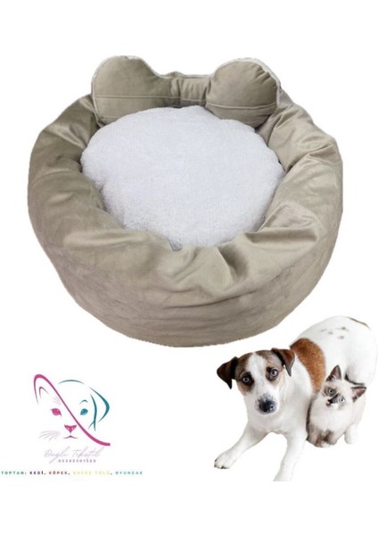 Köpek Yatağı