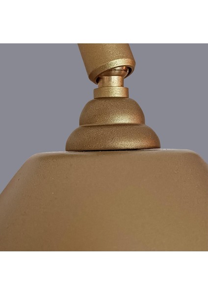 Berlon Oynar Başlıklı Gold Aplik