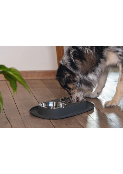 Köpek Ikili Mama ve Su Kabı, Paslanmaz Çelik, 40X24CM, 2X500ML modelleri
