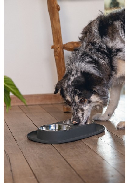 Köpek Ikili Mama ve Su Kabı, Paslanmaz Çelik, 40X24CM, 2X500ML fırsatları
